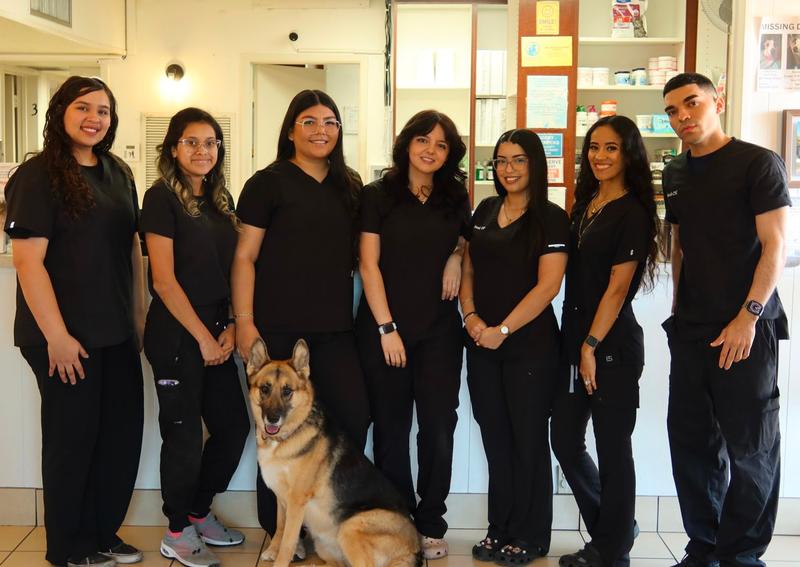 Carousel Slide 3: Meet our veterinary team